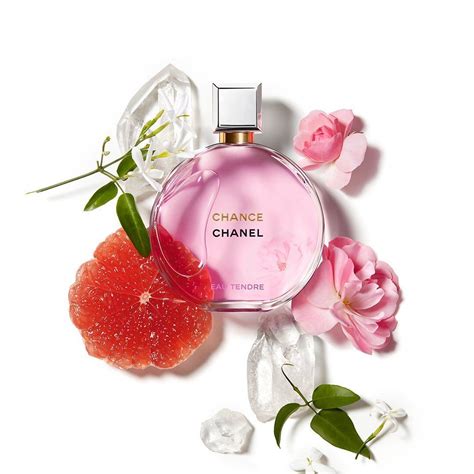 chanel perfume fruity|chanel perfume outlet online.